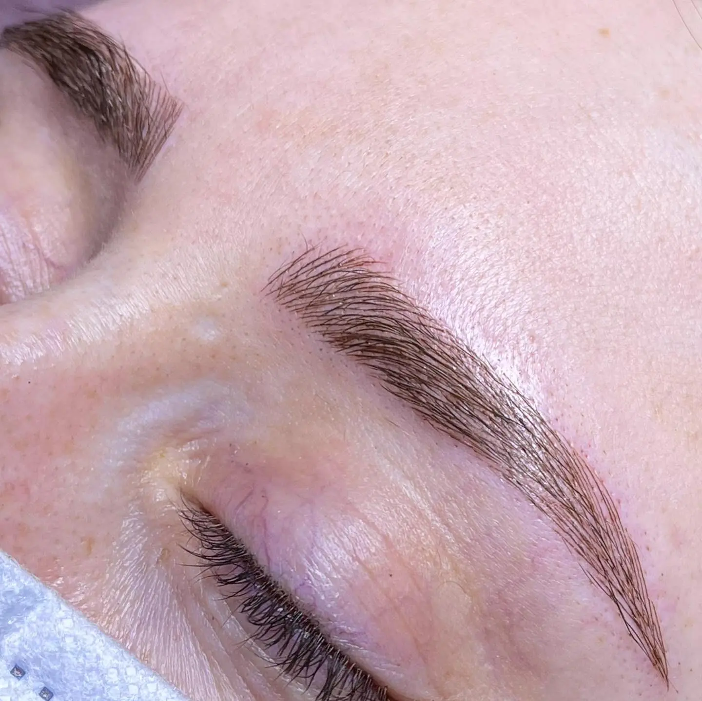 Detalle real de micropigmentación de cejas
